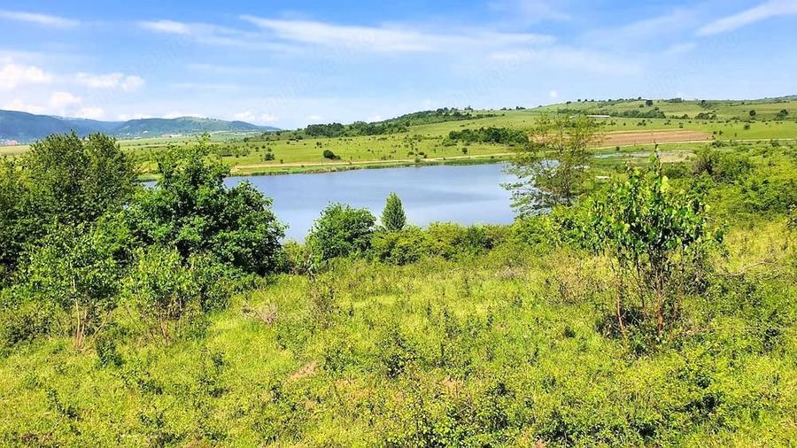 Teren extravilan 3200mp lac Sacel - 4