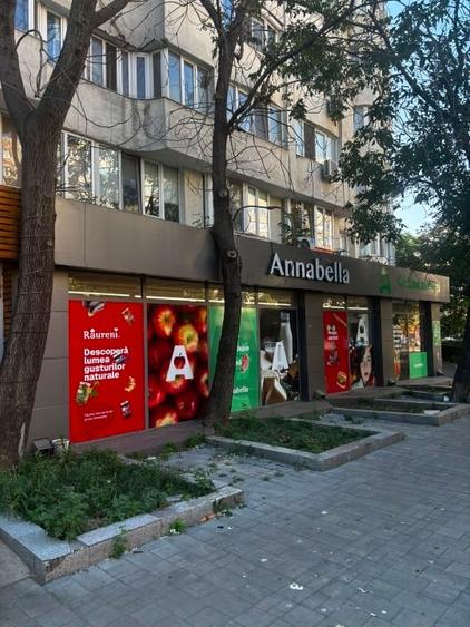 Spațiu comercial, de 252 mp, în Obor