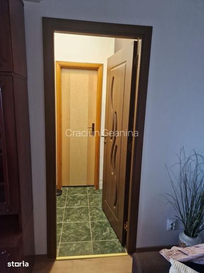 Apartament 2 camere, Zona Balcescu, Aleea Parcului
