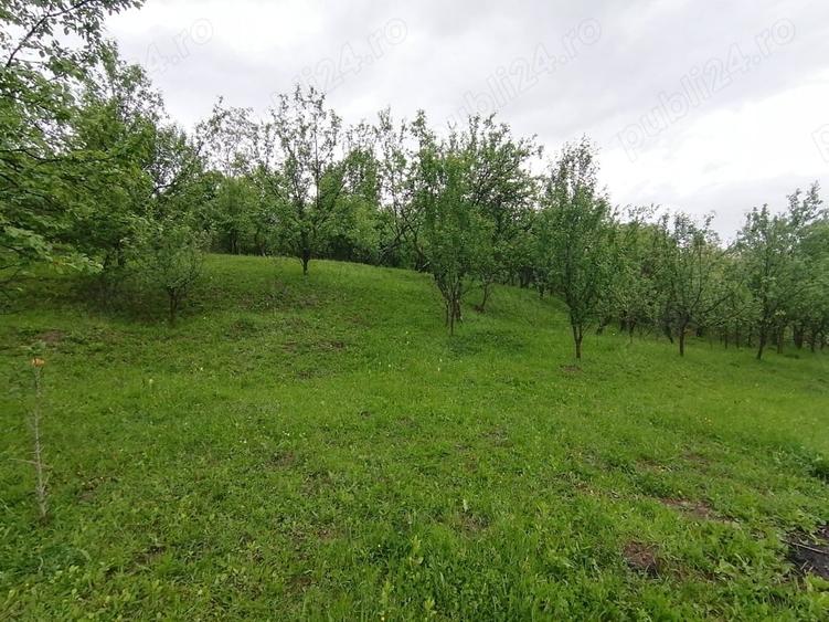Teren de 4650 mp, în Lunca Mare