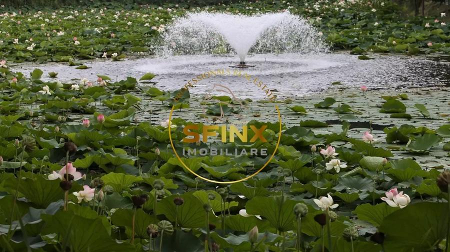 Casă individuală cu 5 camere cu Canalizare în Parcul Circului