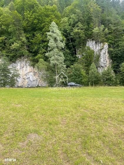 Teren Investitie Turistica Dambovicioara Baranga | 4.500 mp - 13