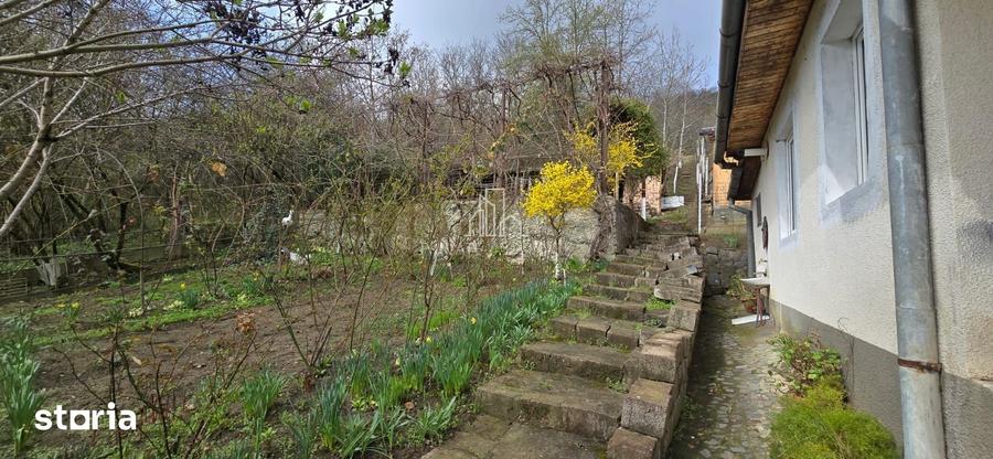 Casă cu 2 camere cu Teren 3080 Mp în Sighișoara