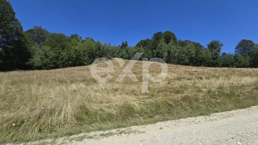 Teren agricol extravilan de 36200 mp, în Poiana Mărului