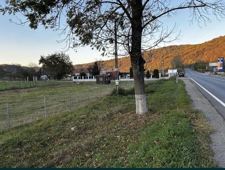 Teren de 5800 mp, în Central
