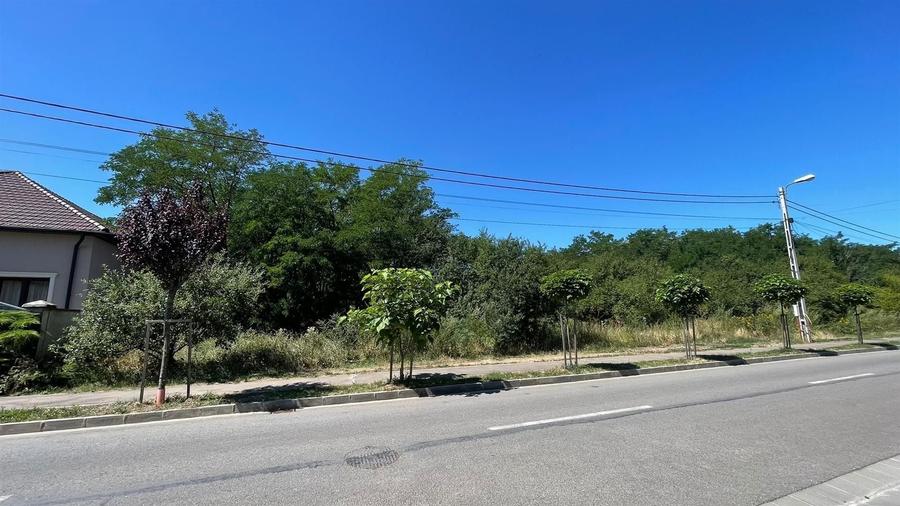 Teren intravilan de 3054 mp, în Oncea