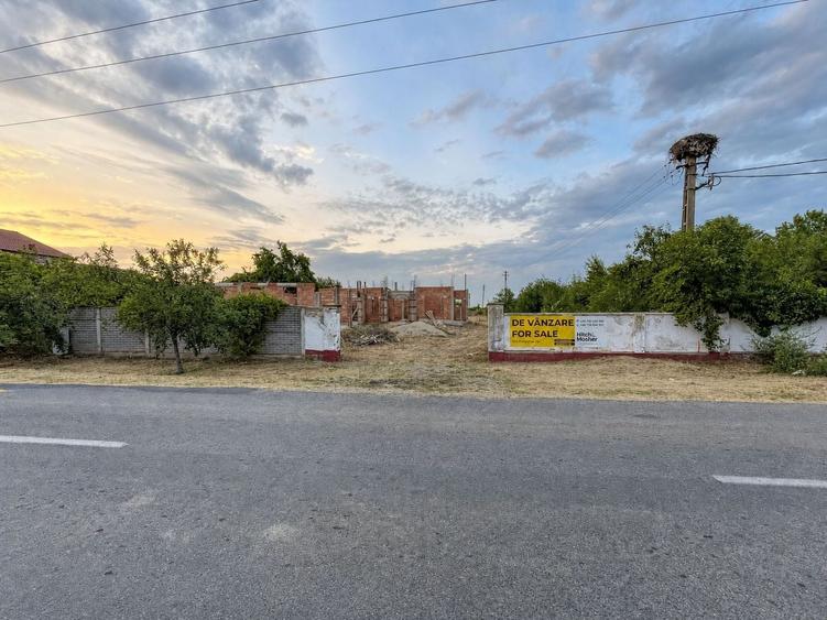 Teren Construcții intravilan de 2633 mp, în Bazoșu Nou