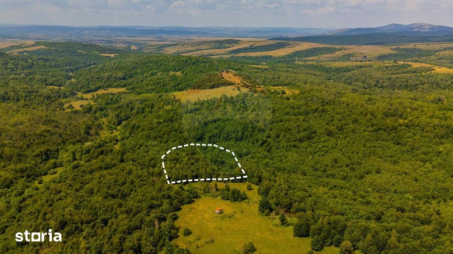 Teren de 6572 mp, în Părău