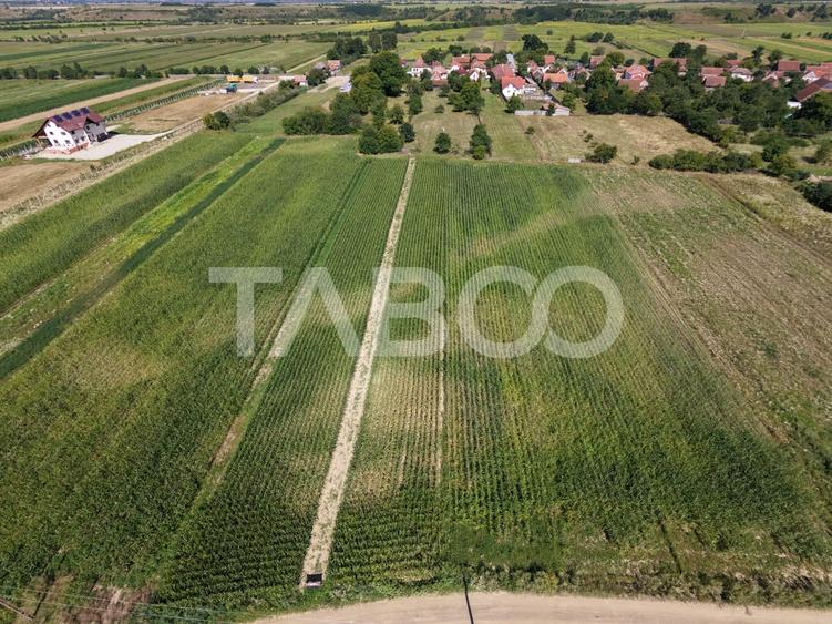Teren Construcții intravilan de 3150 mp, în Vad