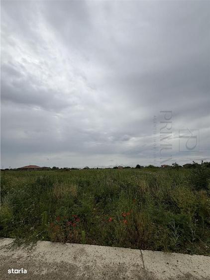 Teren- Mosnita Noua- Toate utilitatile+ strada betonata - 2