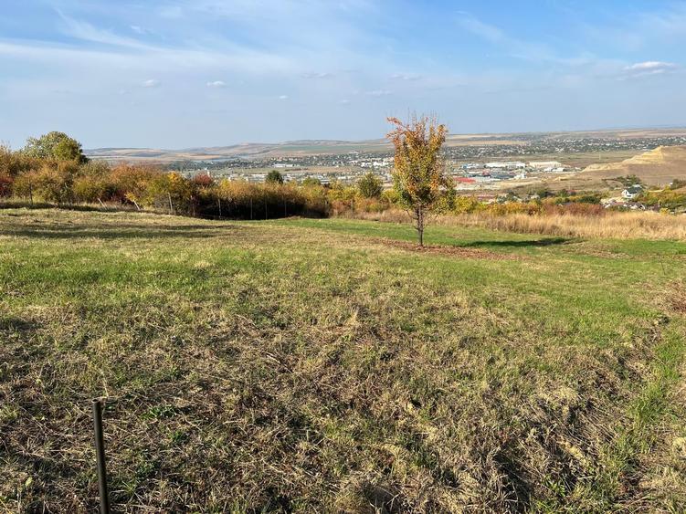 Teren de 1240 mp, în Vlădiceni