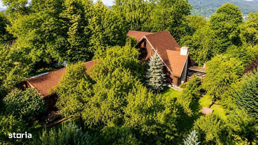 Mountain Chalet | Private Resort | Investment - Nistoresti - 8
