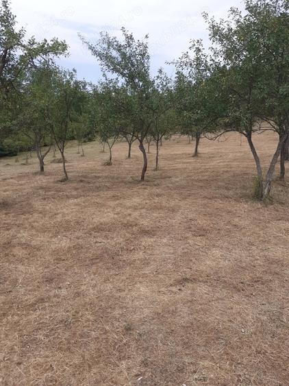 Teren de 6400 mp, în Nord