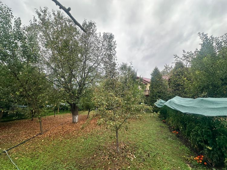Spațiu comercial, de 450 mp, în Albești