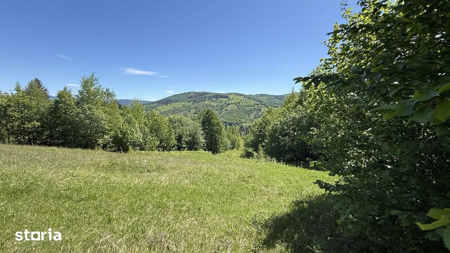 Teren de 21053 mp, în Vama