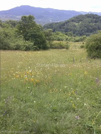 🌲 Vând Teren Extravilan Fâneață, 1522 mp – Arefu, Jud. Argeș (Zona Transfăgărăș