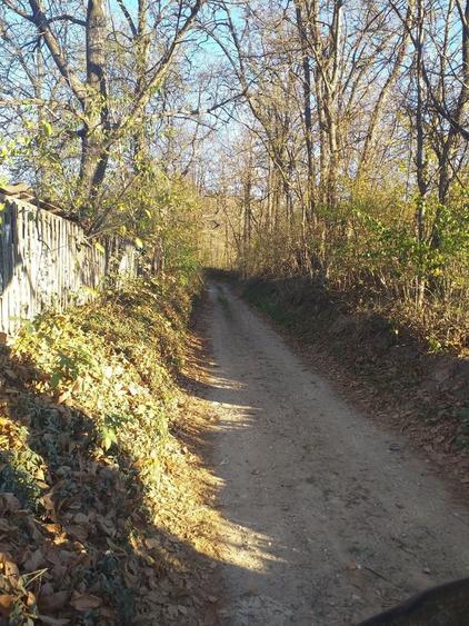 Teren de 3000 mp, în Vulturești