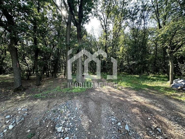 Teren de 1450 mp, în Jucu
