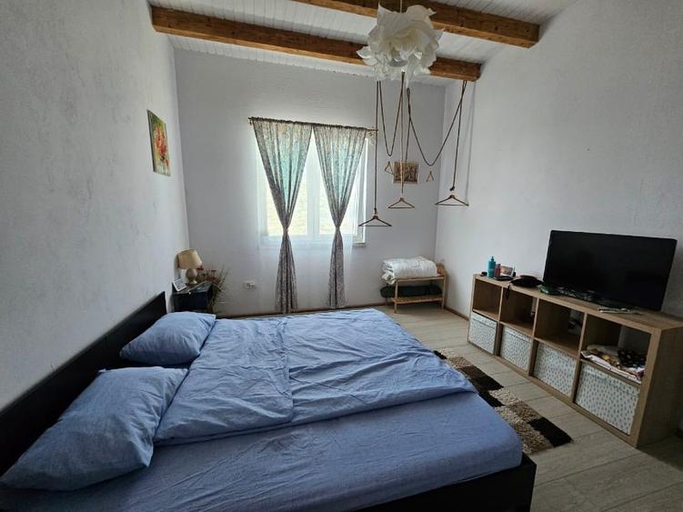Casă individuală cu 3 camere cu Teren 1260 Mp în Crișan
