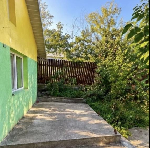 Casă cu 2 camere în Epureni