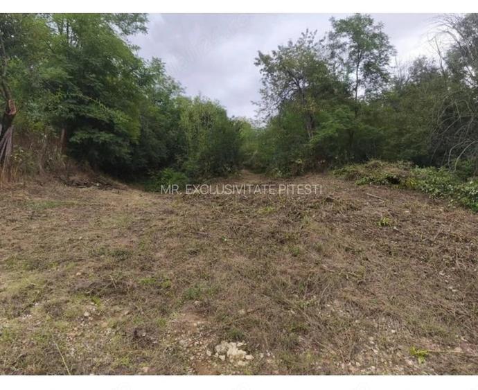 Teren de 2552 mp, în Hințești