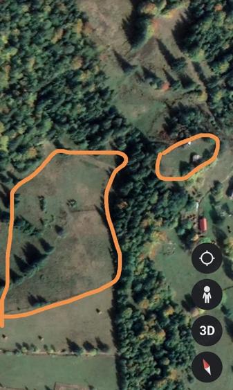 Teren de 35000 mp, în Scărișoara