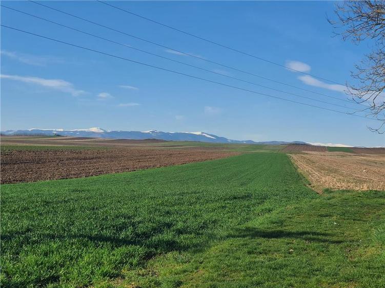 Teren extravilan 4.500- max.18.300mp in comuna Rosia (17 km de Sibiu) - 9