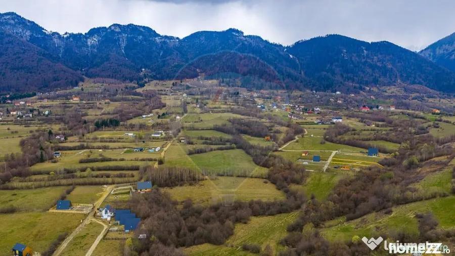 Teren în Tohănița