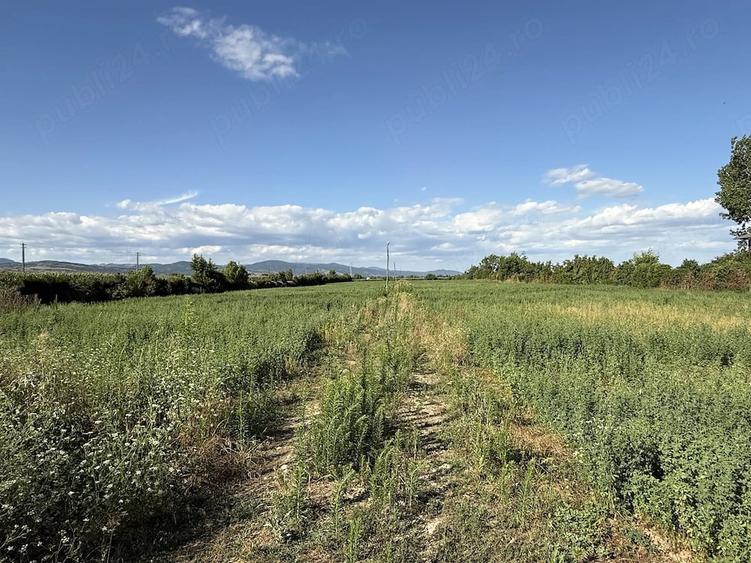 Casă cu Teren 2500 Mp în Central