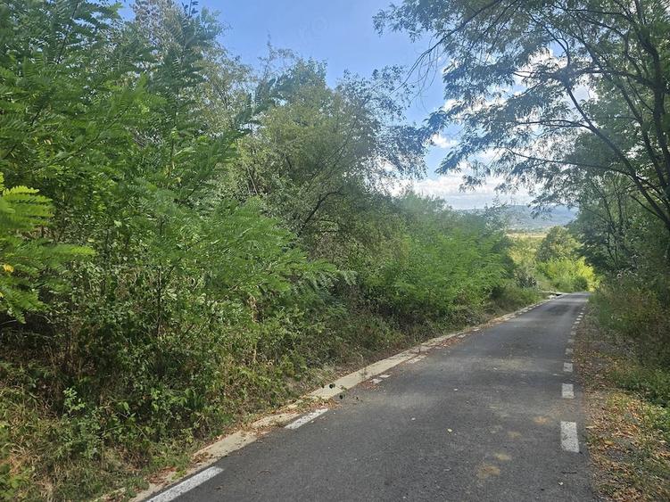 Teren de 2063 mp, în Gurasada