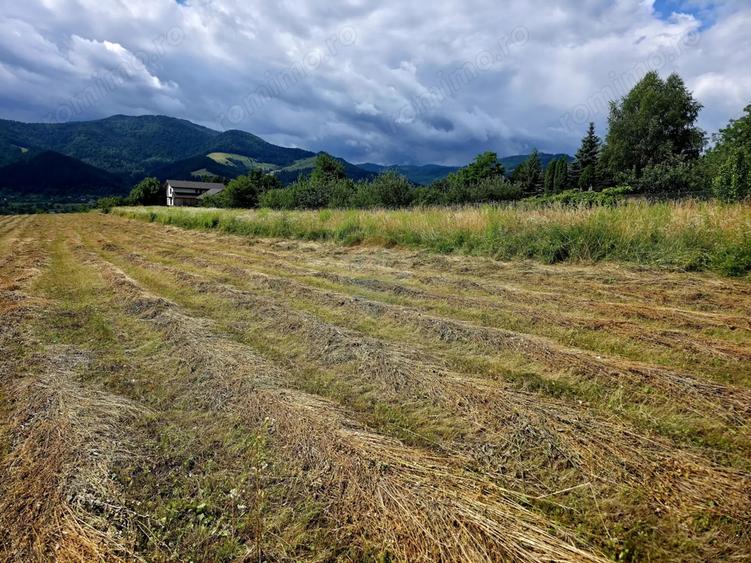 Teren de 680 mp, în Viișoara