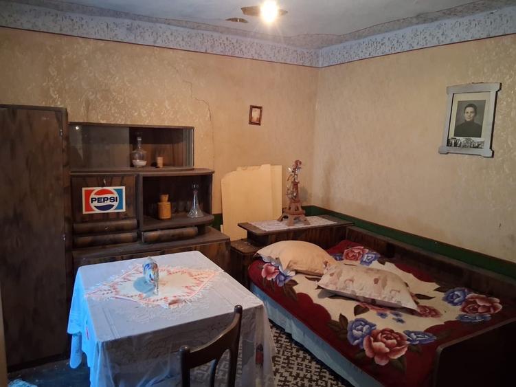 Vand casa 1000 mp in Valea Stanciului - 3