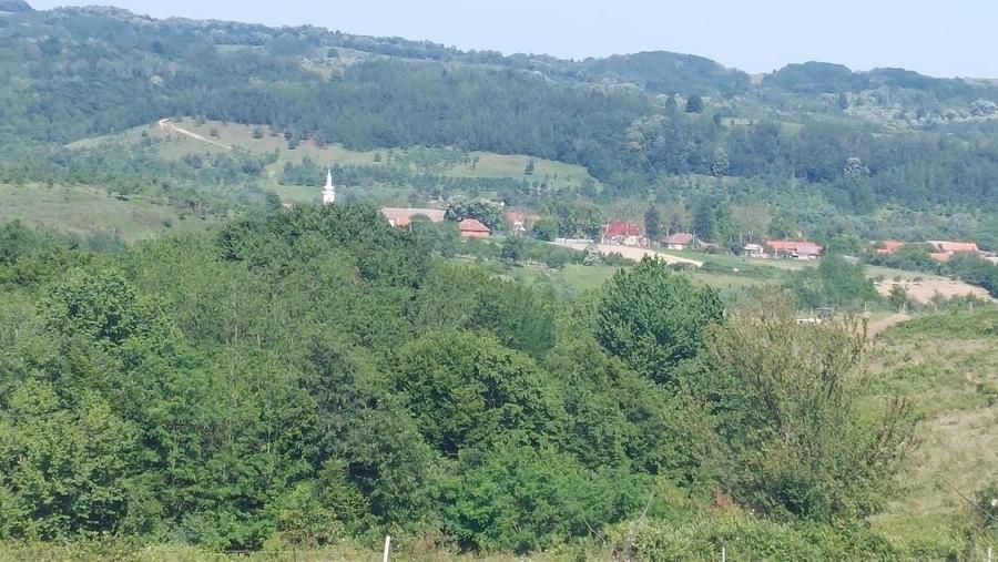 Casă cu 2 camere cu Teren 1500 Mp în Central