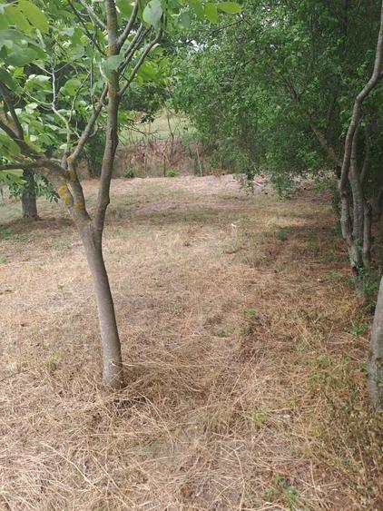 Teren de 470 mp, în Gălăteni
