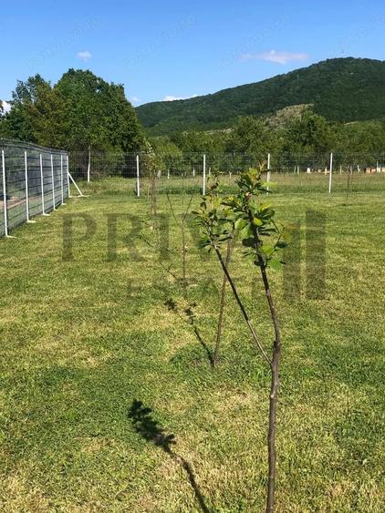 Teren de 800 mp, în Botinești