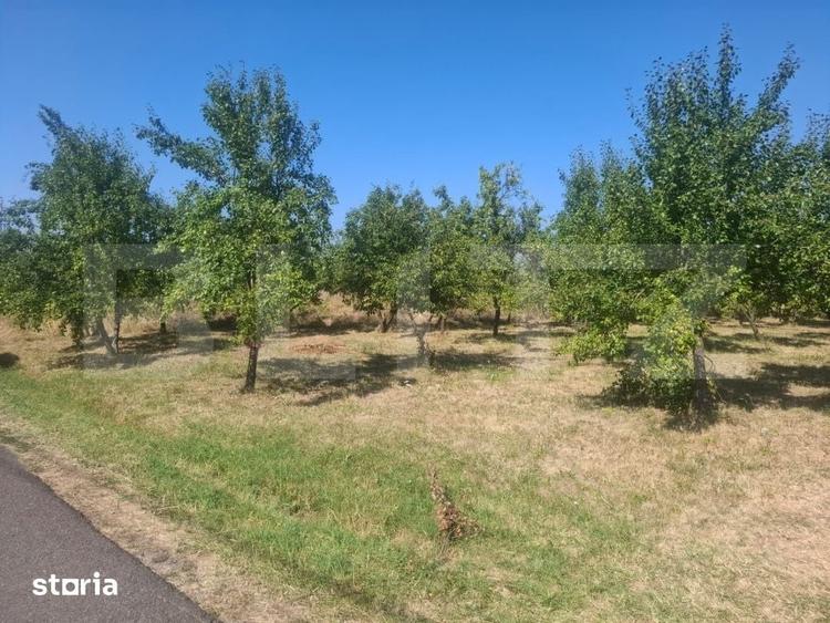 Teren de 2493 mp, în Cobia