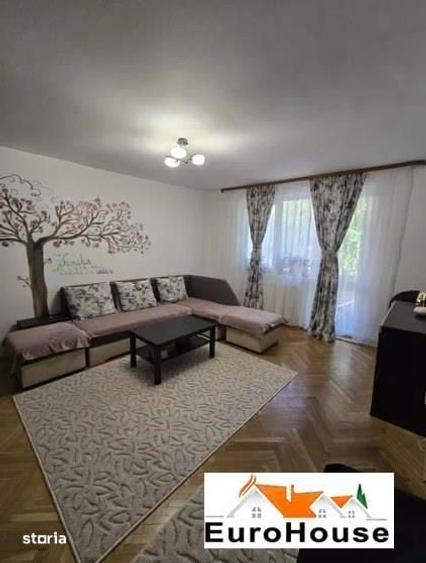 Apartament cu 2 camere de inchiriat etajul 1 zona Cetate - 4