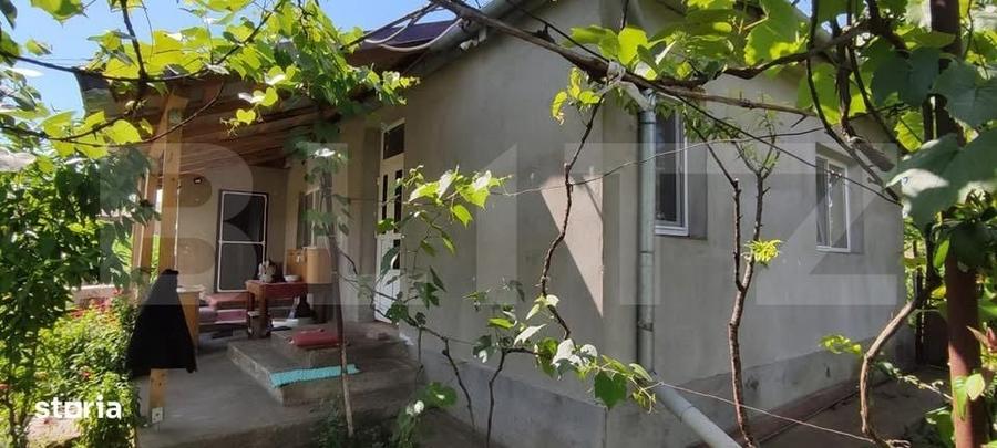 Casă cu 3 camere cu Teren 2323 Mp în Criș
