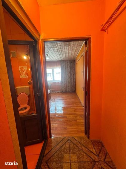 Garsonieră în Lotrului