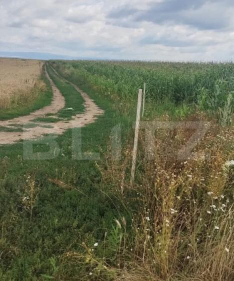 Teren de vanzare, pozi?ie excelenta, pentru investi?ie, - 3