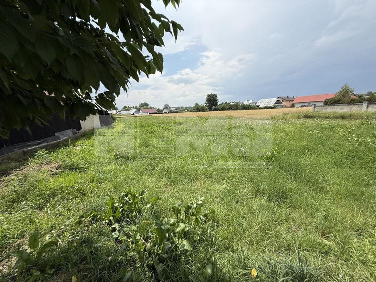 Teren Construcții intravilan de 1900 mp, în Frătăuții Noi