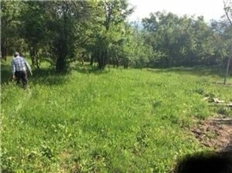 Teren de 2477 mp, în Plai