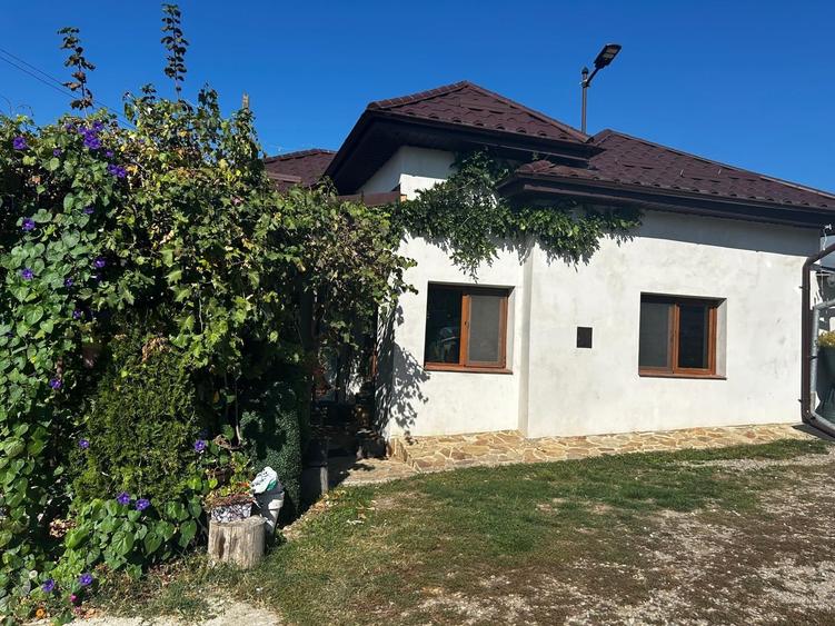 Casă cu 4 camere în Cerbu