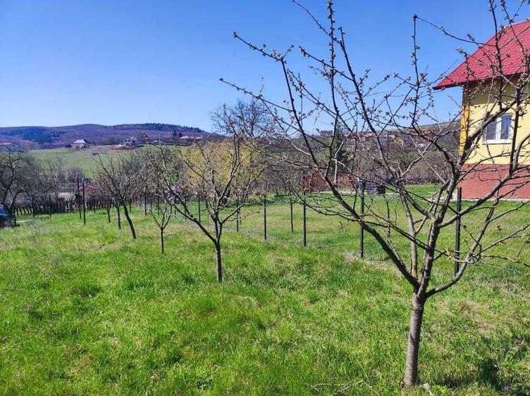 Spațiu comercial, în Vâlcele