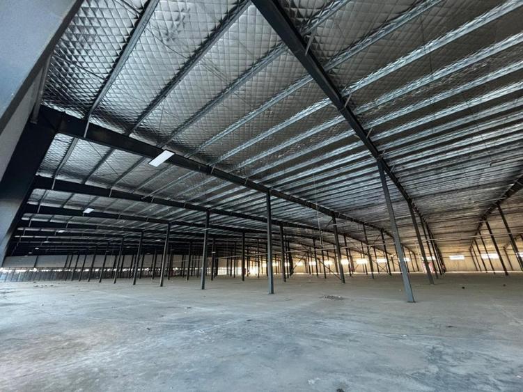 Spațiu comercial, 500 mp în Afumați
