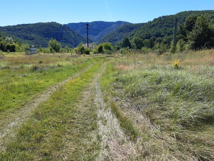Teren Construcții intravilan de 3597 mp, în Eșelnița
