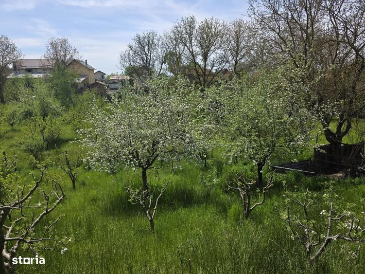 Casă cu 3 camere în Dealu
