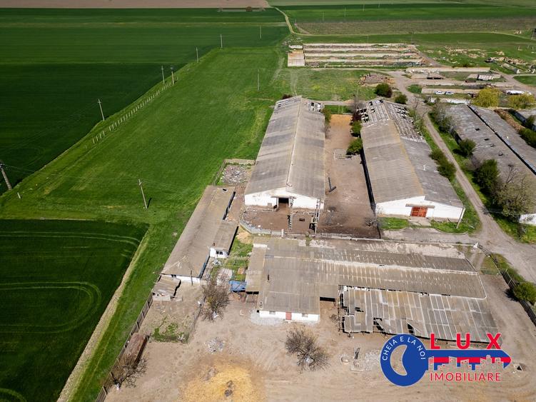 Teren agricol intravilan de 11532 mp, în Mihail Kogălniceanu