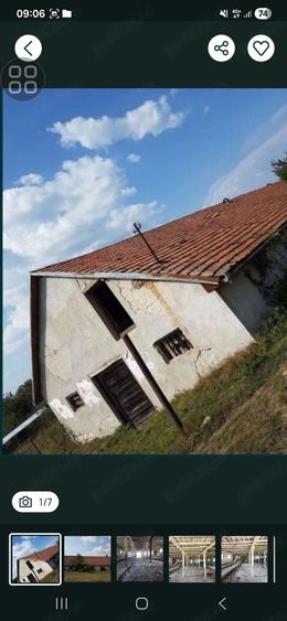 Vand grajd Galdau,Calarasi - 2