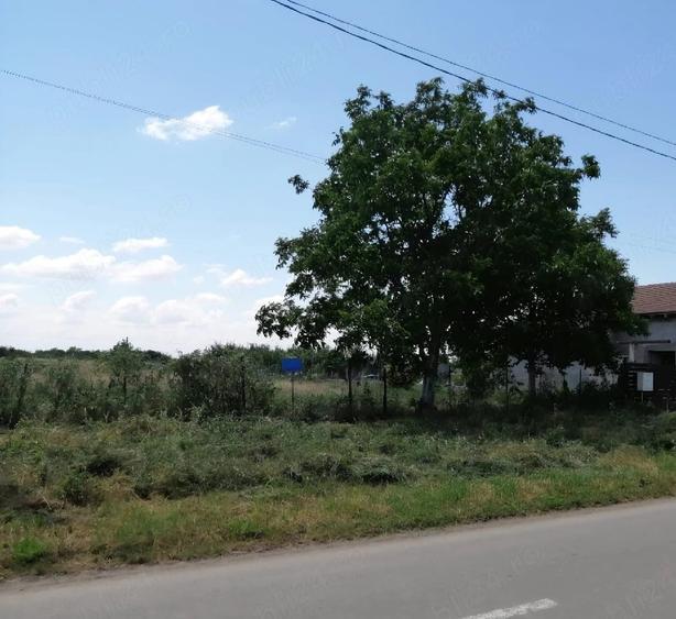 Teren de 629 mp, în Central